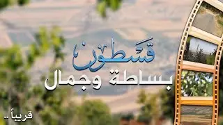 قسطون بساطة وجمال 🌴💖