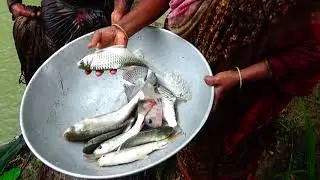 Net Fishing - Traditional Cast Net Fishing in Village - daily River Fishing (Part-17)