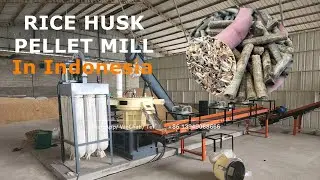 Indonesia Perfect Premium Rice Husk Pellet mill Briquete Machine