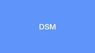 DSM I-II-III