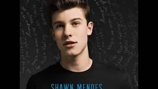 Shawn Mendes - This Is What It Takes