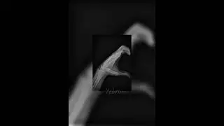 Sans toi - Romy rose ( speed up )
