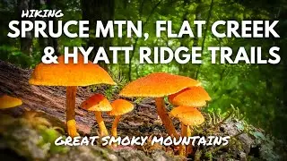HIKING SPRUCE MTN, FLAT CREEK & HYATT RIDGE TRAILS 4K | GREAT SMOKY MOUNTAINS NATIONAL PARK