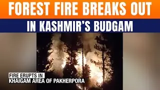 Massive Forest Fire Breaks Out In Budgam&rsquo;s Khaigam Area, Strong Winds Fan Flames | Kashmir | News9