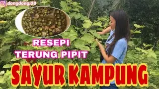 Resepi Bintorung @ Terung Pipit(Sayur kampung) || Sumandak Kampung
