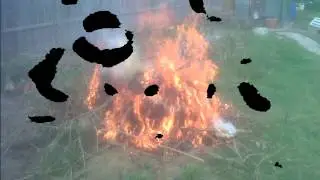 Real Genuine footage of Creepy Ghost face caught on camera
