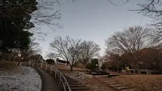 今朝の三ツ沢公園Vol812