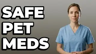 How to Measure and Prepare Liquid Doses for Pets?