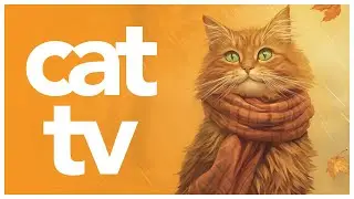 Cat TV: 3 Hours of Exotic Birds and Relaxing Nature Scenes