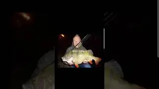 maailman isoimmat kalat pt.2 #hauki #kalastus #fishing #ahvenenkalastus #fish #suomi