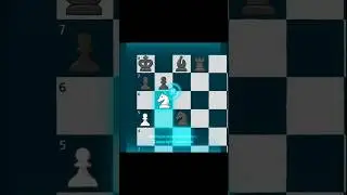 A 300 year old puzzle 🔥 |Phillipp Stamma | Montagem Toma #shorts #trending #chess #edit @ZaveeCHESS