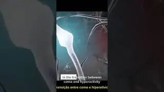 Al&eacute;m da Realidade: Desvendando o Enigma do MK Ultra.