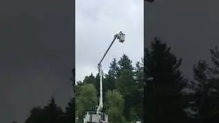 Tree work with bucket truck