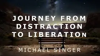 Michael Singer - Journey from Distraction to Liberation