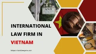 Looking for a reliable local law firm in Vietnam for your business?