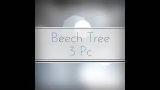Beech Tree || Summer collection 2021