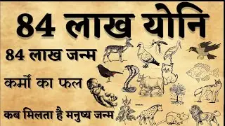 जन्म से पहले 84 लाख योनियों में कैसे भटकती है आत्मा ? (84 Lakh योनि का रहस्य) | Premanand ji Maharaj