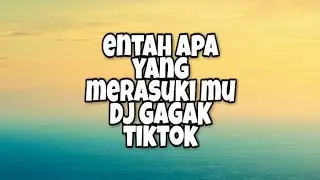 Entah Apa Yang Merasuki Mu DJ Gagak Tiktok (Lirik)