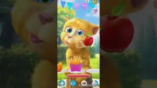Talking ginger 