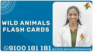 #kids - Wild animals flash cards | Pinnacle Blooms Network - #1 Autism Therapy Centres Network