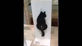REALISTIC CAT CLOCKS!