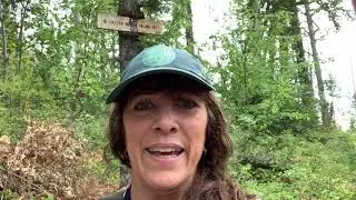 Hiking Jewel Basin: Broken Leg Trail
