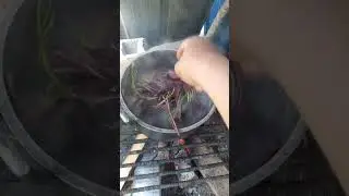#tinulangbariles #ilocanostyle