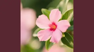 Built from Every Fall