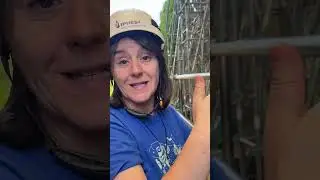 Atapuerca 2025 ¿Sabes qué es una excavación arqueológica?