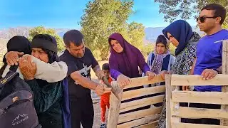 Kobra's return from the dormitory and making a wooden door for the Doora farm's platform