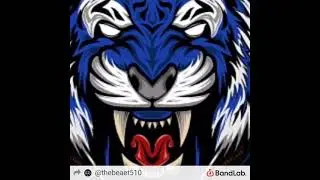 Go Get Em Tiger