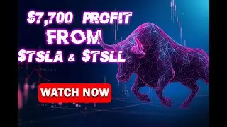HOW TO MAKE $7,700 PER DAY $TSLA $TSLL | OPTIONS TRADING