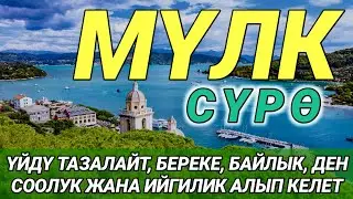 СҮРӨ АЛ МҮЛК| АР КАНДАЙ ЖАМАНДЫКТАН ЖАНА КӨЗ ТИЙҮҮДӨН КОРГОЙТ, ООМАТ, БЕРЕКЕ ЖАНА ЫРЫСКЫ АЛЫП КЕЛЕТ