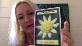 Weekly reading 28 Sept - 4 Oct with Michelle Lightworker