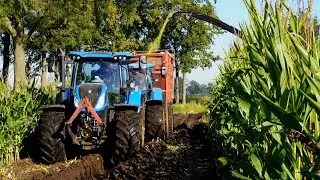 Mais 2024 | Modderen | New Holland FR9040+T7050+T7.235 | Velthuis Hoonhorst | Maishakselen | Mud