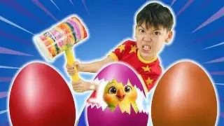 Surprise Egg Song 🥚🎶 | What&rsquo;s Inside? | Hokie Pokie Kids Videos