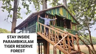 Parambikulam Tiger reserve forest | Thunakadavu Tree top Hut | forest stay | കാട്ടിനുള്ളിലെ Tree Hut