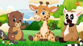 Amazing Animal Sounds Collection: Beaver, Mouse, Giraffe, Lemur, Cat - Animal Video