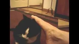 Foot Fettish? Dr. Dot     