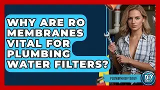 Why Are RO Membranes Vital For Plumbing Water Filters? - Plumbing DIY Daily