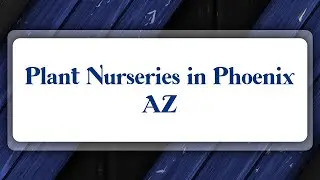 Top 10 Plant Nurseries in Phoenix, AZ