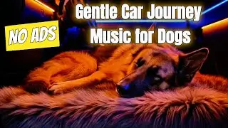 Stress-Free Car Music for Dogs - 8 HOURS of Calm | NKN Music for Dogs