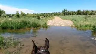 Gopro Trail Ride