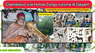 Gbemélãwo silé Hohoe Zongo nutomé lẽ ƒũkpem