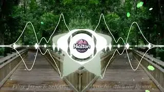 Felix Jaehn & SHOUSE - Walk With Me (Hialton Remix)