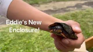 Eddie’s New Enclosure!