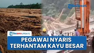 Detik-detik Pegawai PLTA Berlarian saat Kayu Gelondongan Terbawa Banjir Bandang, Bekas Penebangan