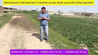 Samarqand vil Nurobot tum Yuksalish q.q da Beda uchun YOMG’IRLATIB SUG’ORISH. #akona #yomgirlatib