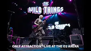 The Wild Things - Only Attraction, Live at the O2 Arena 5/7/23