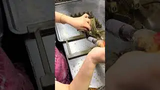 oem premium customized stainless steel metal parts.#casting    #forging    #machining     #cast